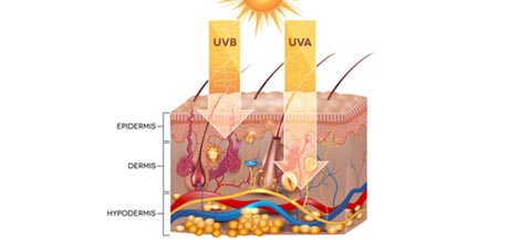 ultraviolets (UV) : les actions des uva et uvb sur la peau